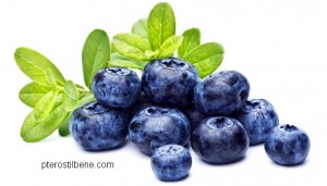pterostilbene blueberries